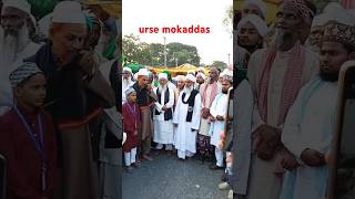 new naat sharif trending islamicsong naat naatsharif naatstatus naats shorts viralshort [upl. by Serilda840]