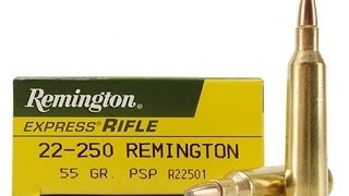 What is a 22250 Remington [upl. by Yordan]