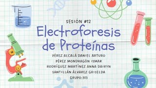 Sesión 12 Electroforesis de Proteínas [upl. by Marinelli]