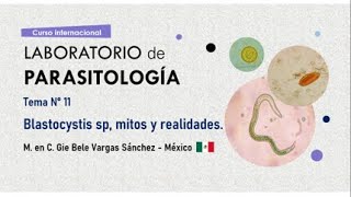 Tema N° 11 Blastocystis sp mitos y realidades [upl. by Lewap495]