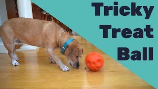 Omega Paw Tricky Treat Ball Review  Food Puzzle Reviews  Quiet Low Cost Puzzle Toy for Dogs [upl. by Toile]