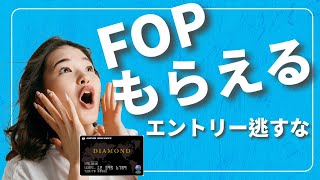 【JAL修行】JALカード初回搭乗ボーナス5000FOP必要か？ [upl. by Zadack]