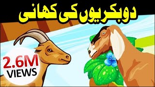 3D Cartoon Video ┇ 2 Bakriyon Ki Kahani ┇ Urdu Cartoon Kahani ┇ Kids Corner [upl. by Shivers]