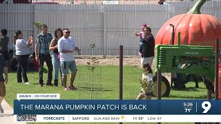 Marana Pumpkin Patch opens [upl. by Eustis148]