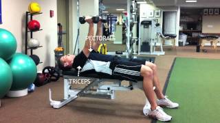 FLAT BENCH HAMMER PRESS [upl. by Egerton]