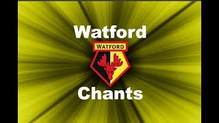 Watfords Best Football Chants Video  HD W Lyrics [upl. by Alrahc]