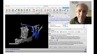 Using AlphaFold protein structures in ChimeraX for cryoEM modeling [upl. by Pax]