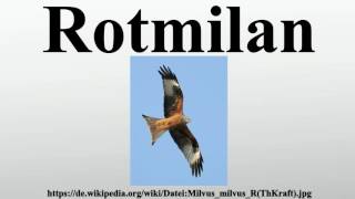 Rotmilan [upl. by Sletten743]