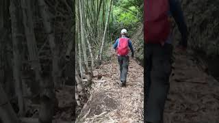 Explore Pegunungan Bandung Timur part 3‼️hiking hikinggunung pendakianbersama explore adventure [upl. by Illene1]