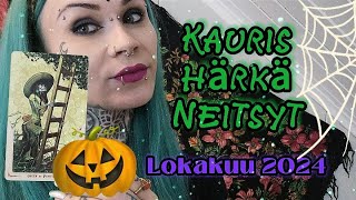 🎃🌱 MAAMERKIT Lokakuu 2024 Tikapuita Pitkin Taivaaseen 🌱🎃 [upl. by Yllet]