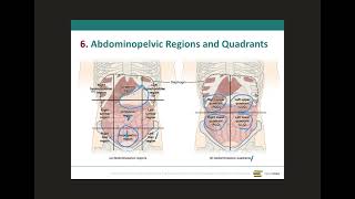 Abdominopelvic regions and quadrants [upl. by Octavie]