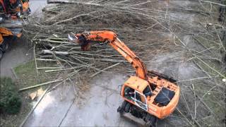 Abattage grand rendement avec broyage et valorisation en bois énergie [upl. by Deaner]