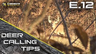 Deer Calling Tips  E12 quotTending and Breeding Gruntsquot [upl. by Peskoff]