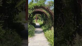 Tulln GardenAustria viral share nature shorts subscribe [upl. by Akierdna]