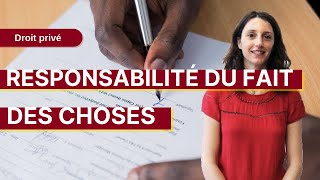 L2 équipe 1  La responsabilité du fait des choses [upl. by Eiger]