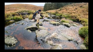 The heart ❤️ shaped Lough Ouler Co wicklow [upl. by Nibaj]