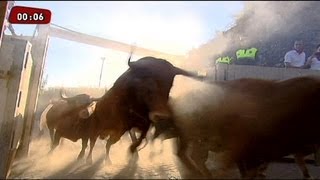 Running of the Bulls in San Fermin [upl. by Ylas214]