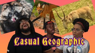 10 Animals You Definitely Forgot Existed  Casual Geographic Reaction ft Chavezz [upl. by Gide]