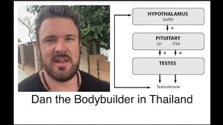 HPTA Axis Explained  WHY PCT WORKS AFTER A STEROID CYCLE  BODYBUILDING SCIENCE [upl. by Rheingold481]