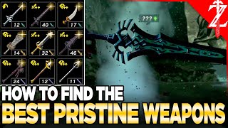 How to Find the BEST Pristine Weapons in The Depths of Tears of the Kingdom [upl. by Kcirdahs]