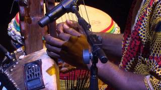 The Griot tradition of West Africa  Sibo Bangoura  TEDxSydney [upl. by Alyce753]