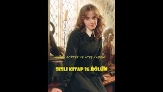 Harry Potter ve Ateş Kadehi  Bölüm 36  En İyi Sesli Kitap [upl. by Ardnuek]