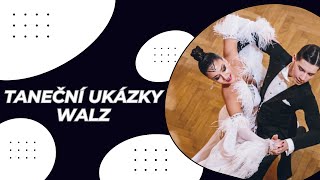 Taneční ukázky David Kazda a Jasmina Jelínková  standardní tance WALTZ [upl. by Mclaurin]