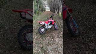 Honda CRF110 fasterminis pitbike yoshimura crf110 [upl. by Tiras]