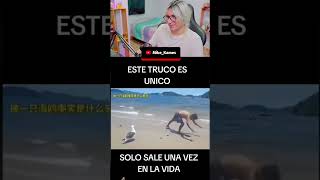 el pajarito se burla de parati edits raccion memes funny mexico paratii s shorts [upl. by Maddis]