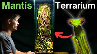 I Made A Tree Trunk Terrarium For a Praying Mantis Here’s How [upl. by Derrik232]