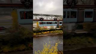 🍂 SCHWEBEBAHN IDYLLE 🚟 tram monorail wuppertal tramspotting wsw [upl. by Pathe501]