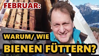 Bienen füttern im Winter  Futterteig selber herstellen  Vortrag Südtirol  Notfütterung Bienen 🐝 [upl. by Nicolai]