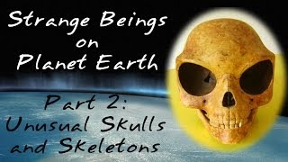 Strange Beings on Planet Earth Part 2 Unusual Skulls and Skeletons [upl. by Holihs]