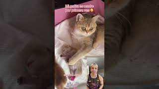 Vean a mi gatita es madre por primera vez que hermosa se ven comenta 🥰 comedia shorts [upl. by Otsedom998]