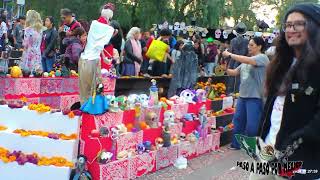 Mega Ofrenda UNAM CDMX 2024 parte 1 [upl. by Hort549]