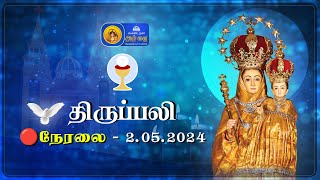 🔴 LIVE  Holy Mass In Tamil  02nd May 2024  Annai Vailankanni Shrine  Besant Nagar Annai [upl. by Homans]