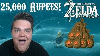 THE BEST WAY TO GET RUPEES 25000 RUPEES AN HOUR  Legend of Zelda Breath of the Wild Guide [upl. by Aryad538]