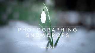 Photographing snowdrops in the Scottish Highlands [upl. by Haraz]