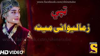 Pashto new songs 2020  Zama Lewany Meena  Tappay Tapay Tappaezy 2020  Hd Video Song [upl. by Llenrad]