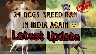 24 Dog Breeds Ban in India  Letest Update 😱😱 [upl. by Nialb]