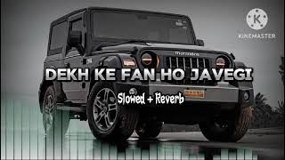 Dekh Ke Fan Ho Javegi Slowed Reverb Chore Malik Marji Wale newsong [upl. by Retsevel945]