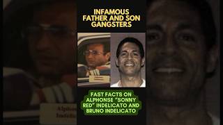 “SONNY RED” AND BRUNO INDELICATO  FATHER AND SON MOBSTERS bonannocrimefamily dominickcicale mob [upl. by Seto676]