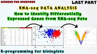 How to find Differentially Expressed Genes DEGs from RNAseq Gene Expression Data  Rstudio [upl. by Ainocal]