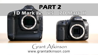 Canon 1D Mark IV VS 7D Mark II  Part 2 [upl. by Suoivatco]