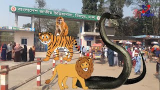 Zoo in Bangladesh Chiriakhana mirpur Dhaka BD  বাংলাদেশ জাতিও চিড়িয়াখানার মজার মজার জীবজন্তু [upl. by Aisauqal]