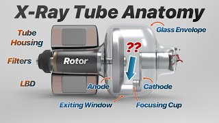 XRay Tube Anatomy XRay Production Explained [upl. by Eegnat268]