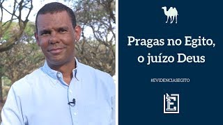 Especial Egito  Pragas no Egito o Juízo de Deus [upl. by Cirad]