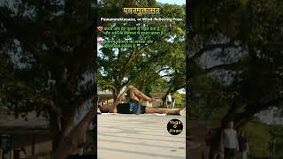 Pawanmuktasana or WindRelieving Pose  पवनमुक्तासन  Yoga O Jivan 🧘‍♂️ shorts shortsvideo yoga [upl. by Bobby]