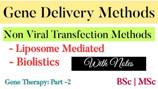 Delivery Methods of Gene Therapy part 2  Non viral transfection Methods  Liposome amp Biolistic [upl. by Ranchod]