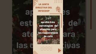 Estrategias para cooperativas de café cooperative coop cooperativismo [upl. by Blus965]